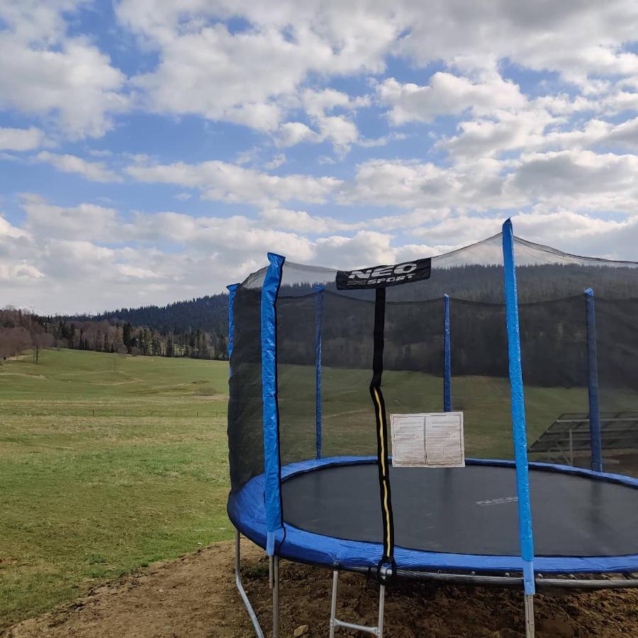 Domki U Jacka Sauna Bilard Tenis Air Hockey Pilkarzyki Bawialnia Plac Zabaw زاكوباني المظهر الخارجي الصورة